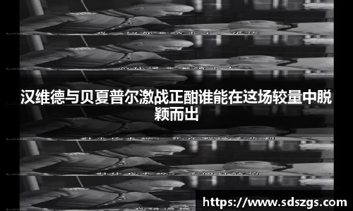 新利体育平台